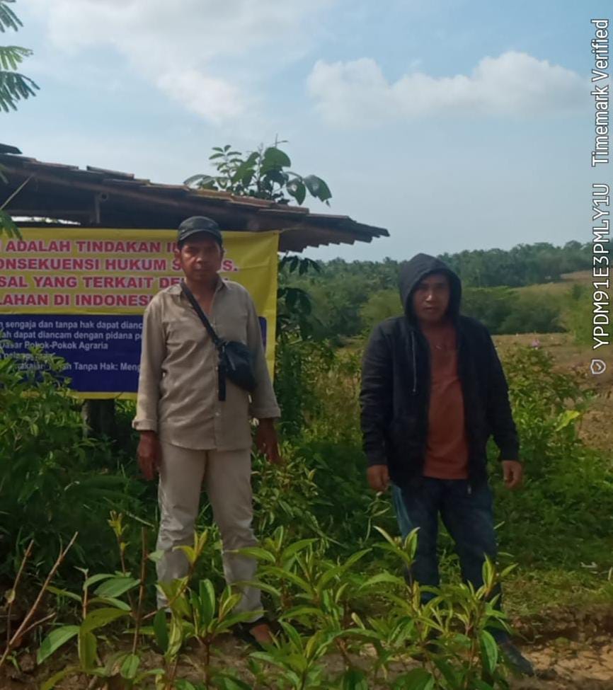 M. Sodik SH laporkan H. Ra’in DKK Kepolres Pandeglang Karena Diduga Tanahnya Digusur Tanamannya Dirusak Serta Tanahnya Diserobot”, PT Perkebunan Dwi Agri Dukung Pemilik Tanah